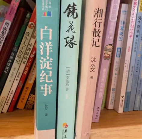 白洋淀纪事、镜花缘、湘行散记。 教育部...