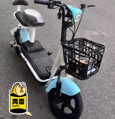 (低价处理)全新未开封的爱玛雅迪同款48V...
