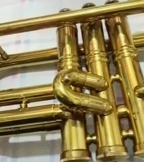 一把90年代的鹦鹉小号，成色不错，没有磕碰...