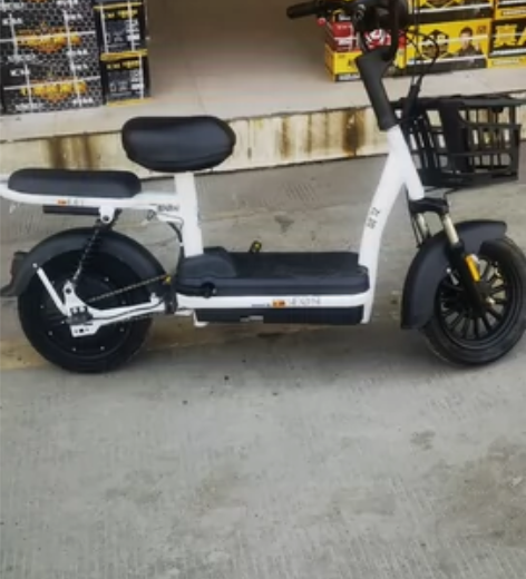 飞鸽电动车,48V12A新电池,只骑了一个...