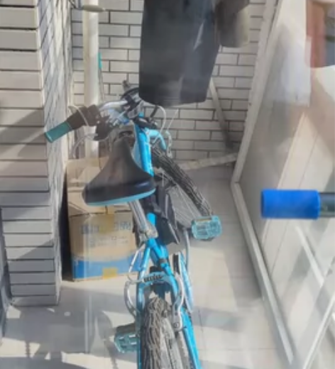 孩子的自行车,迪卡侬购买的变速儿童自行车,...