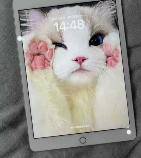 标价就是卖价!出自用的ipad2019款1...