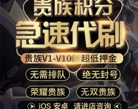 低价贵族王者送荣耀贵族积分代升V8V