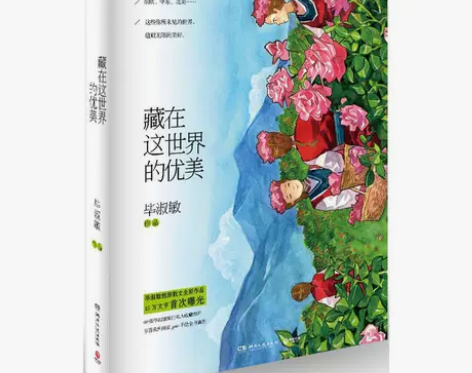 藏在这世界的优美 畅销书籍 正版 散文 毕...