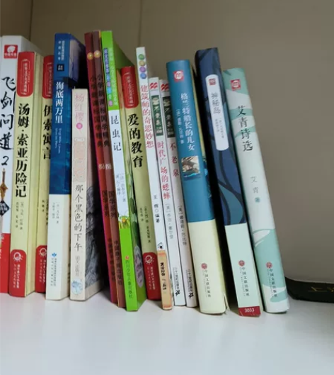朝花夕拾，牛虻，《林肯传》等中小学必读书籍...