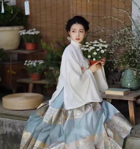 兰若庭 望水云鹤 汉服 明制 立领 补服...