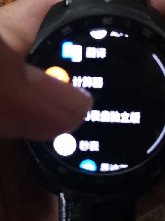 ticwatchpro