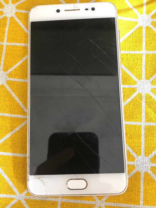 vivo x7l屏坏,主板正常,有没有密码...