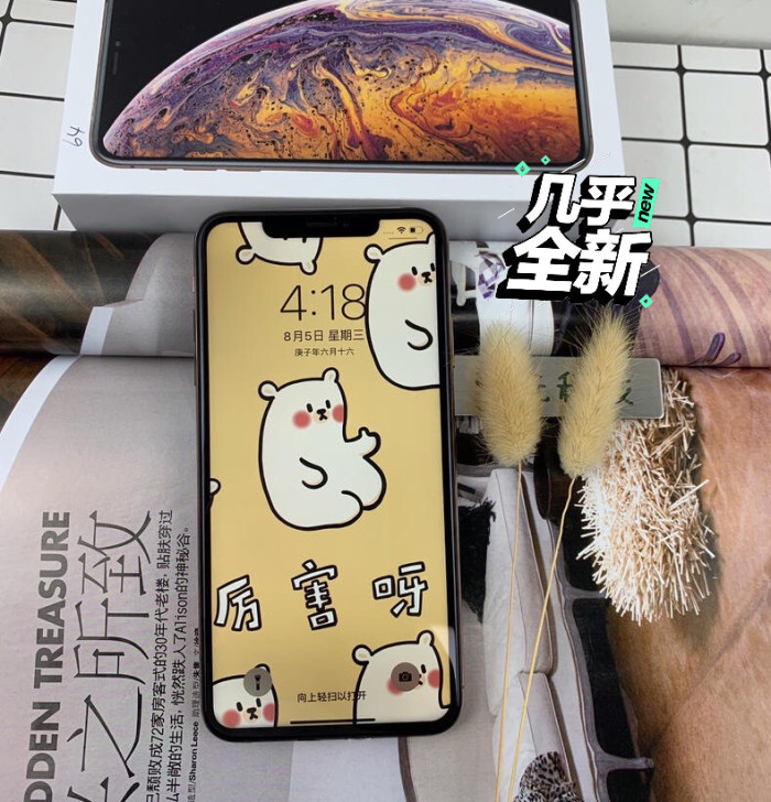 iPhoneXsMax国行双卡256GiP...