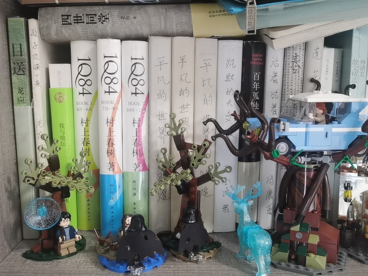 出国内外文学书，图中非全部，全部书籍在下方...