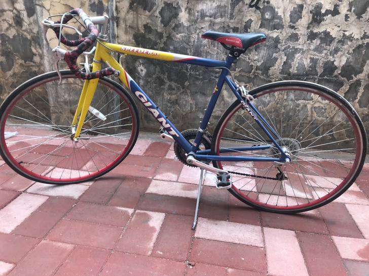 捷安特品牌,公路赛