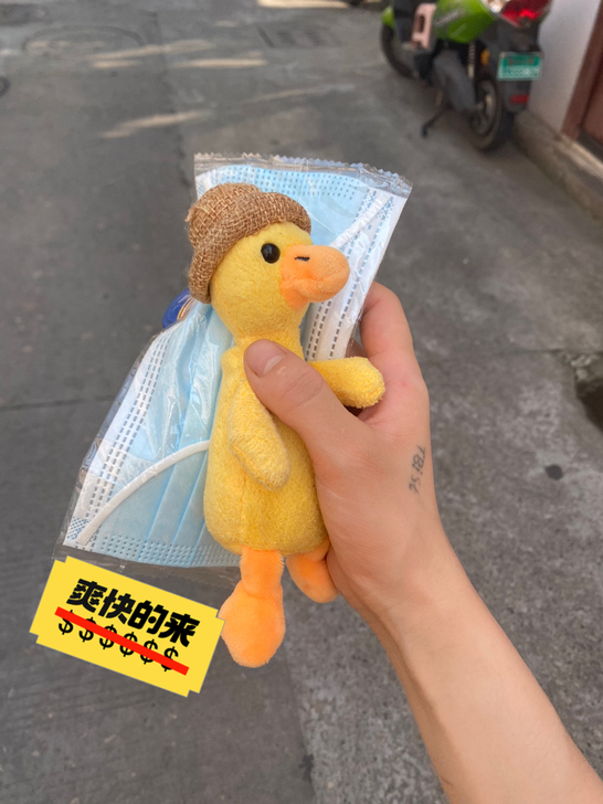 家中各类玩偶 价格美观  因回乡发展 无法...