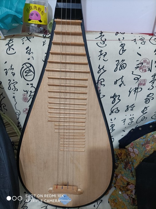 琵琶 成人琵琶 星海琵琶 弦都在 安装...