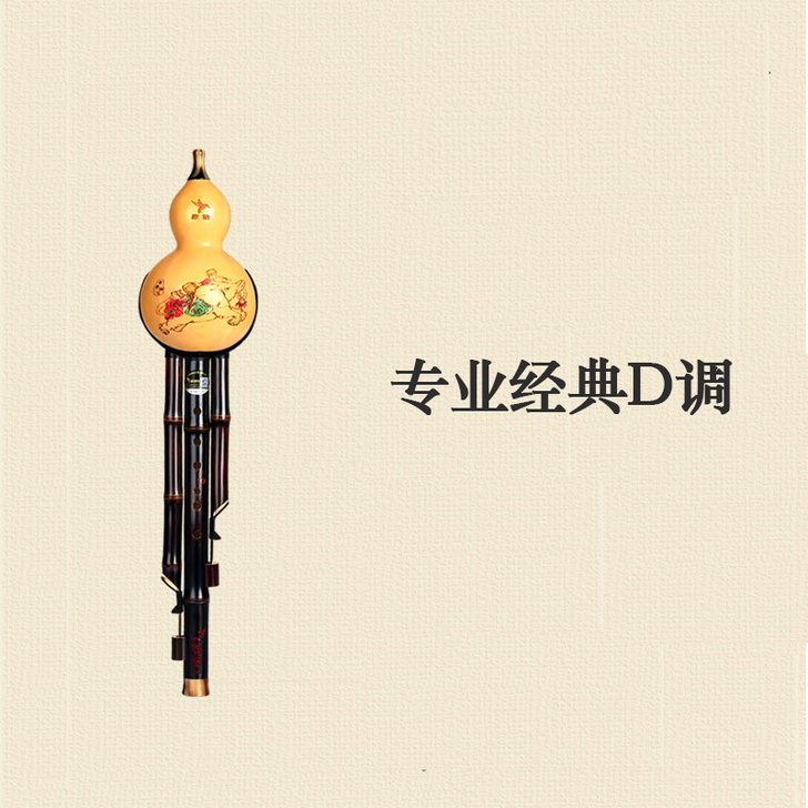 葫芦丝乐器初学c调降b调dgf专业演奏型小...