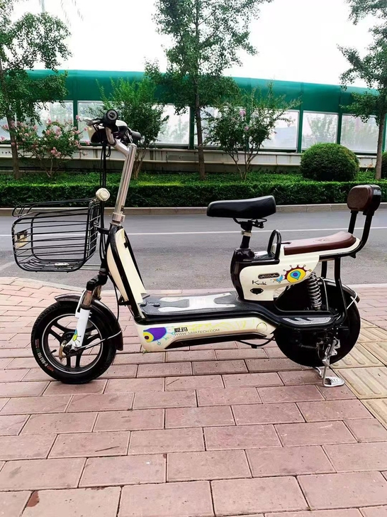 爱玛二手电动车48v12a铅酸电池无暗病实...