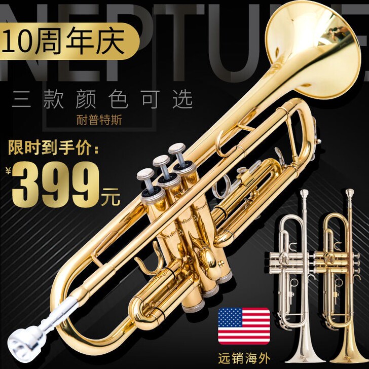 小号 乐器 降B调三音小号 初学演奏考级专...