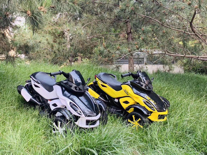 三轮界 扛把子 德国16万的庞巴迪蜘蛛侠摩...