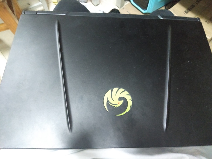 微星先锋alpha15,顺丰包邮,能小刀拒...