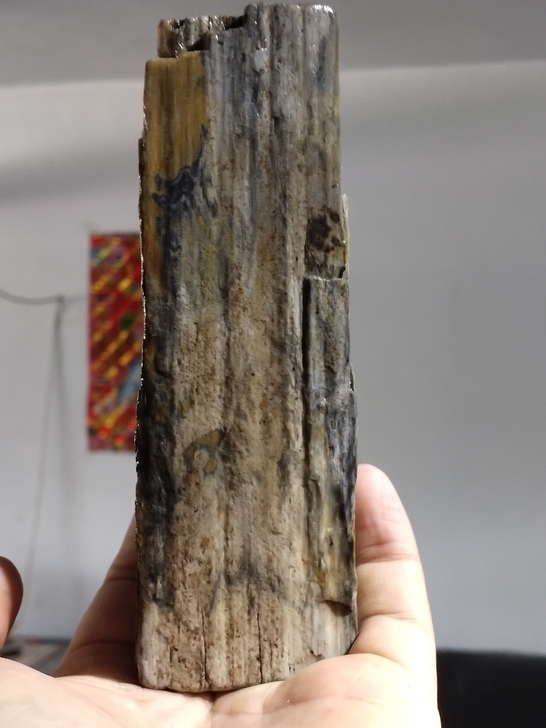 木化玉原石,小摆件,重1斤,尺寸16/5....