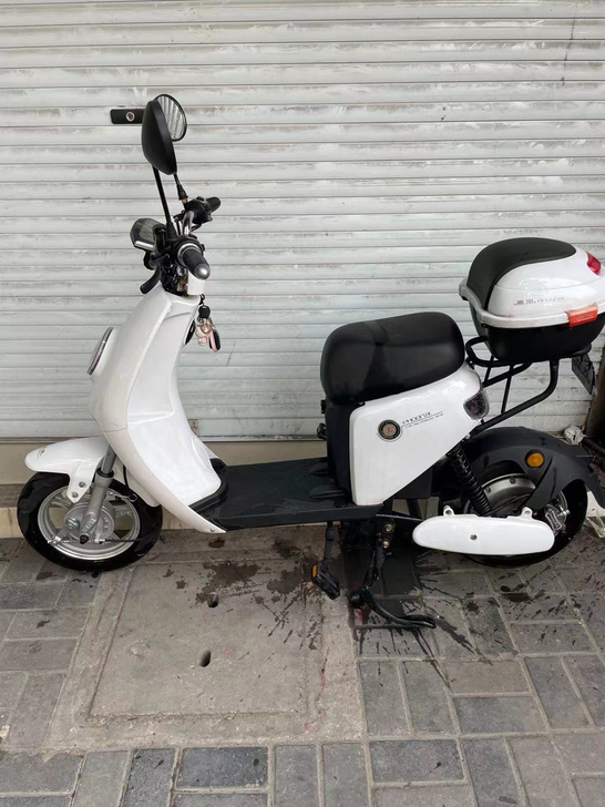 出精品二手电动车小牛款式凤凰小龟（共江路）