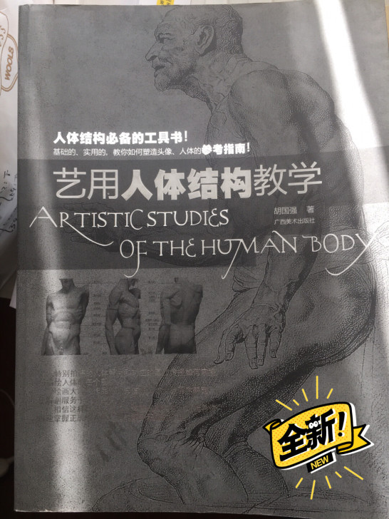 艺用人体结构教学书籍,适合研究画人像,油画...