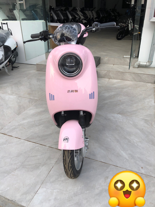 电动车,国标车6020天能电池续航70公里...