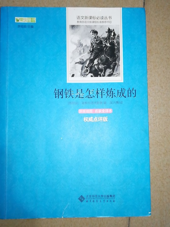 《钢铁是怎样炼成的》奥斯特洛夫斯基