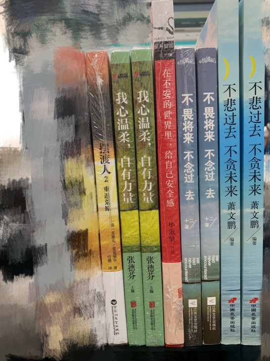 摆渡人2/毕淑敏/心灵鸡汤/女性读物