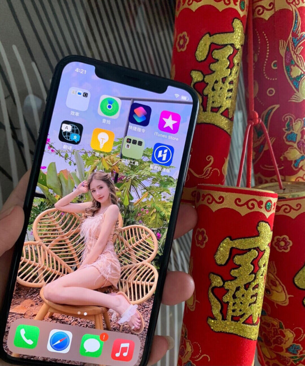 苹果Xsmax256g iphonexsm...