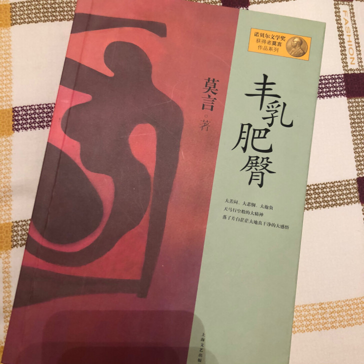 莫言的《丰乳肥臀》,全新,买来开封了就翻了...