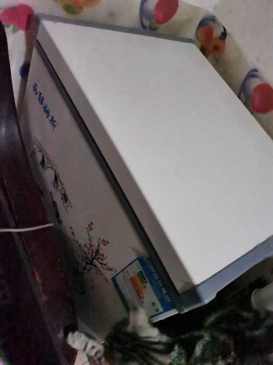 108升西联姆斯冰柜转给有需要的朋友,五一...