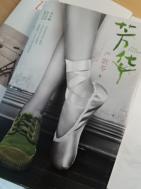 看完冯小刚导演拍的芳华，我立即买了严歌苓的...