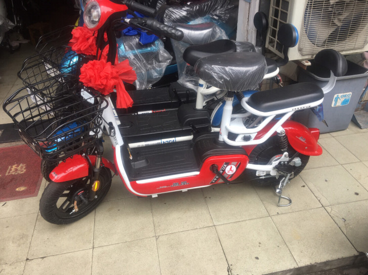 上海品牌凤凰电动车、小巧玲珑电池可以拿下充...