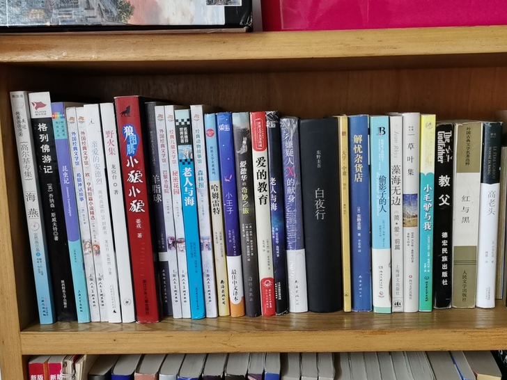 诚意3-4折转让外国文学名著