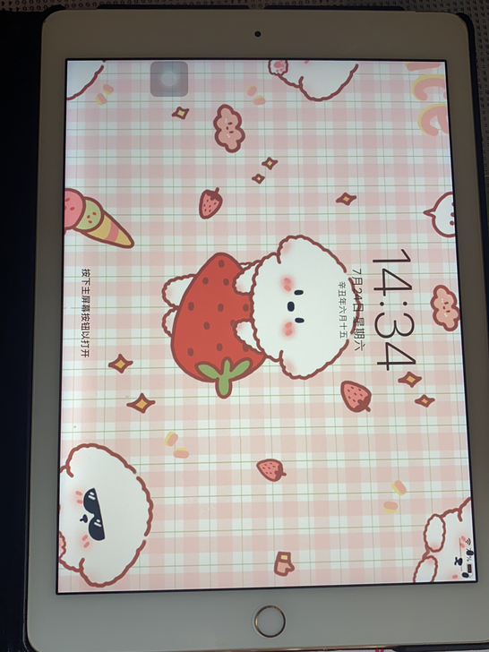 ipad air2