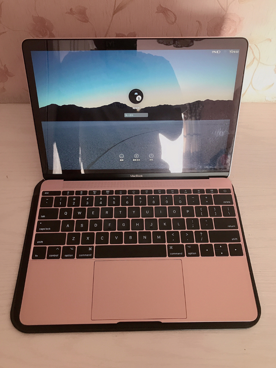 MacBook 12寸17款8+250G....