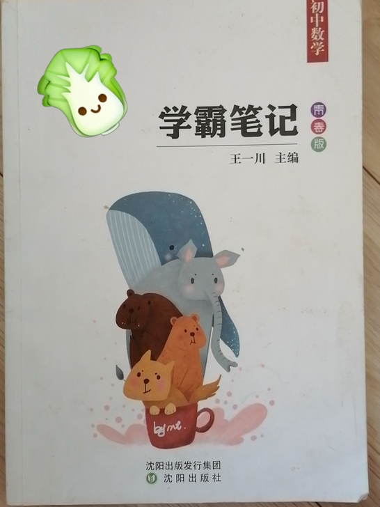 初中数学学霸笔记!