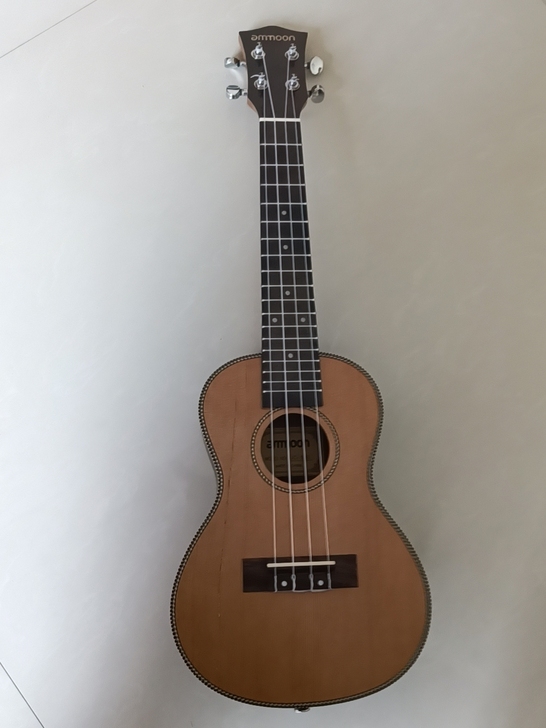 Ammoon尤克里里23寸, 18品,全长...
