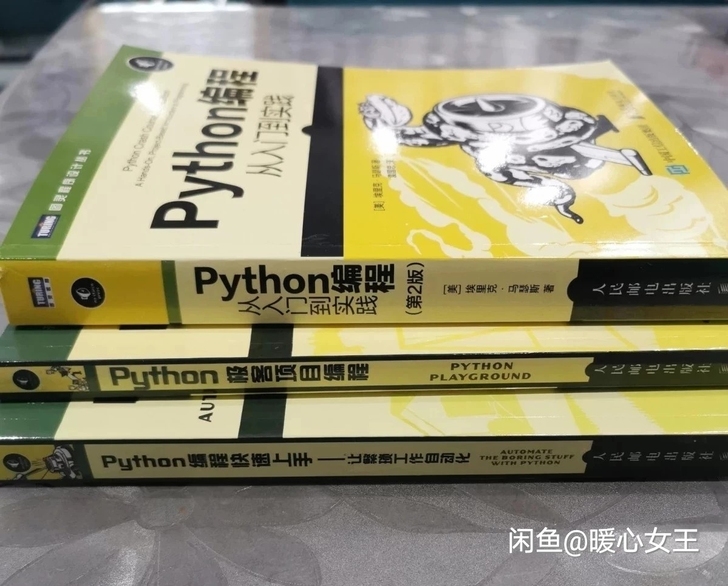 Python编程从入门到实践第二版+编程快...