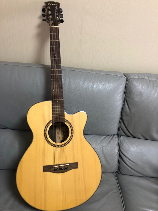 dove鸽子牌吉他,Dl 260C ,40...