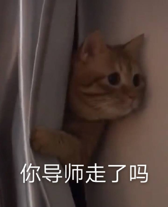 西北工业大学801  2022数据结构  ...