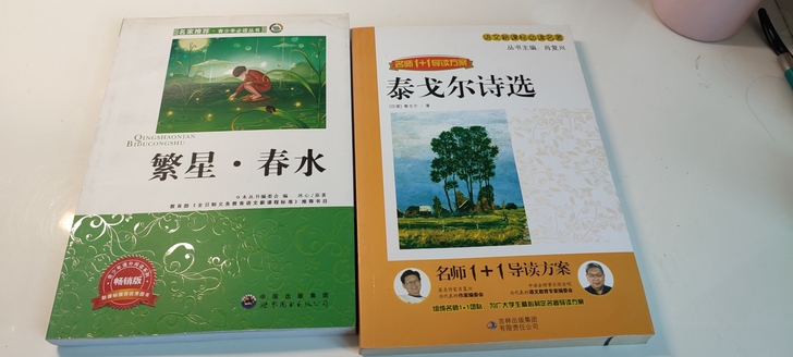 繁星春水,泰戈尔诗选,中外微型诗鉴赏