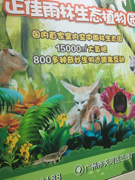 亲子套票正佳雨淋馆七楼原价368一套即拍即...