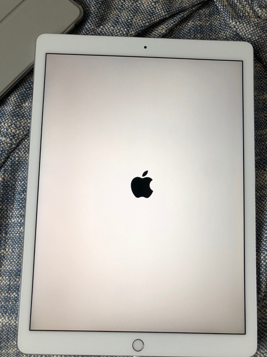 品牌型号 :Apple iPad Pro ...