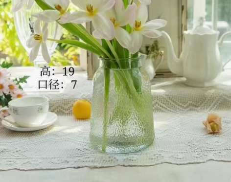 [超便宜]创意玻璃花瓶插花水养北欧风满天星...