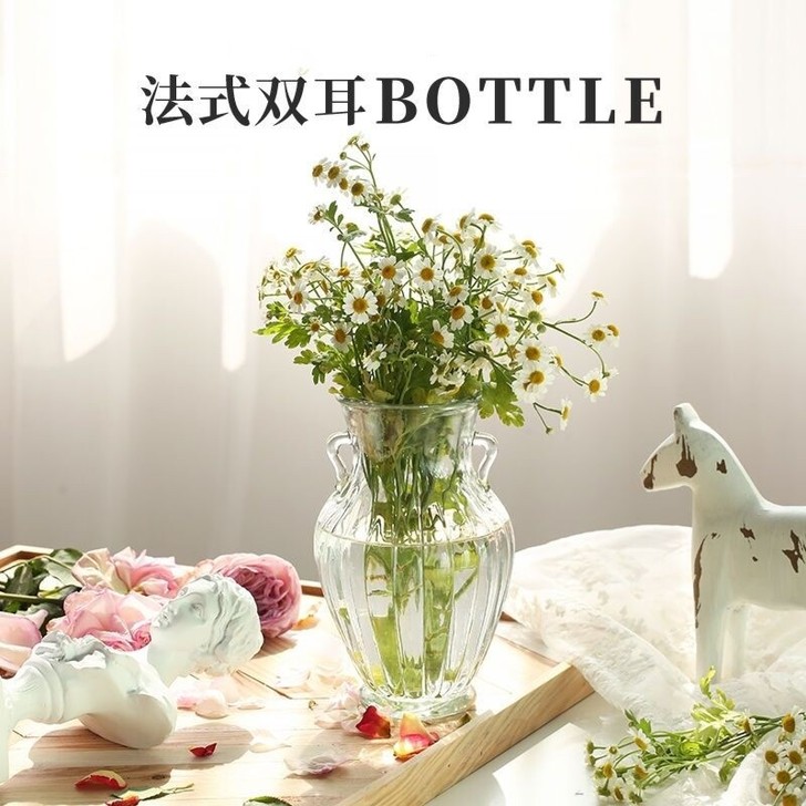 双耳玻璃茶壶花瓶北欧ins风水培创意简约插...