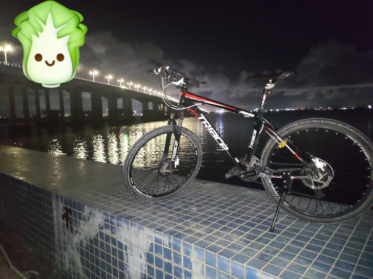 出个自行车,夜晚骑行必备,8成新,换车了,...