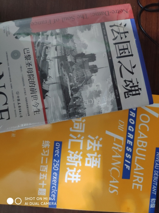法语词汇练习与法国之魂,全新 低价出售