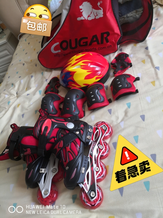 美洲狮,直排轮,
