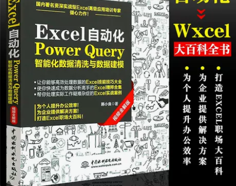 基础入门入门正版Excel自动化Power...